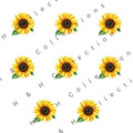 DTF Heat Transfer Bunch Design 001 DTF heat transfer design
