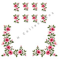 Embroidered Look Daman & Bunches 001